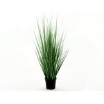 Trawa w doniczce 60 cm