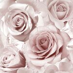 Tapeta papierowa Ugepa 315846 (139521) róża