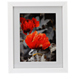 Ramka na zdjęcie Passe-Partout 9 x 13 cm