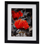 Ramka na zdjęcie Passe-Partout 9 x 13 cm