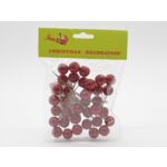 Jarzębina na piku 9 cm 5 sztuk