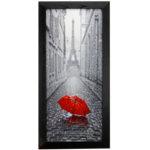 Fotografie w ramie 33 x 70 cm