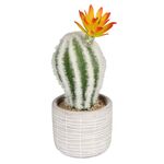 Sztuczny kwiat w doniczce kaktus 1 18 cm
