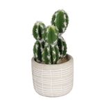 Sztuczny kwiat w doniczce kaktus 6 14 cm