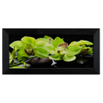 Fotografie w ramie 20 x 50 cm