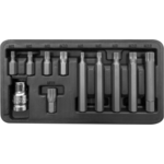 Zestaw końcówek 10 mm XZN M5-M12 l=30/75 mm 11 sztuk PROLINE