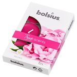 Podgrzewacz zapachowy True Scents Piwonia 6 sztuk Bolsius
