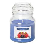 Świeca zapachowa w szkle SND71 leśne owoce Bispol