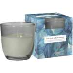 Świeca zapachowa w szkle SN75b liść laurowy/jeżyna Bispol