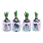 Hiacynt szkło z wstążką 7 cm 1c