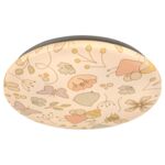 Plafon Hanka LED 24 W