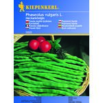 Fasola tyczna Neckarkönigin