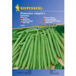 Fasola  Primavera odporna