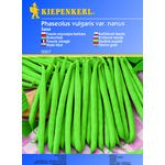 Fasola karłowa Saxa