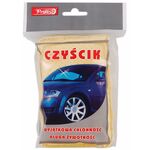 Czyścik gąbka PROFAST