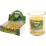 Świeca w szkle 5 x 6 cm CITRONELLA