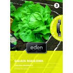 Sałata gruntowa masłowa na taśmie Królowa Majowych 6 m Eden