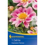 Dalia Impression Famoso