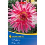 Dalia kaktusowa Mingus Julie