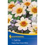 Dalia ciemnolistna Happy Days Creamwhite