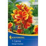 Paciorecznik Königin Charlotte