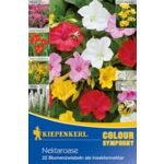 Mieszanka oaza nektaru