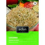 Lucerna na kiełki 20 g Eden