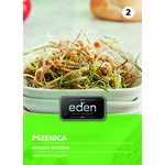 Pszenica na kiełki 30 g Eden
