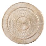 Mata stołowa 38 cm złota