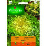 Endywia Tosca 0,5 g Vilmorin Garden