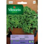 Bazylia grecka Minette 2 g Vilmorin Garden