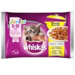 Karma mokra dla kota potrawka JUNIOR drobiowa galareta 4 x 85 g Whiskas