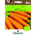 Marchew jadalna BIO Berlikum 2 - 5 g Vilmorin Garden