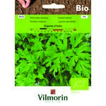 Pietruszka naciowa BIO Gigante d'Italia 5 g Vilmorin Garden