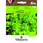 Sałata liściowa BIO Salad Bowl 0,5 g Vilmorin Garden