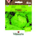 Sałata lodowa BIO Regina dei Ghiacci 0,5 g Vilmorin Garden