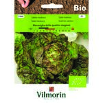 Sałata masłowa BIO Meraviglia delle quattro stagioni 0,5 g Vilmorin Garden