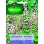 Szałwia muszkatołowa 1 g Vilmorin Garden