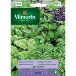 Bazylia Bel Canto 1 g Vilmorin Garden
