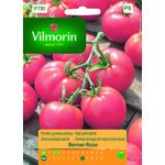 Pomidor gruntowy i pod osłony karłowy Berner Rose 0,2 g Vilmorin Garden