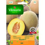 Melon Masada 10 z Vilmorin Garden