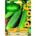 Ogórek gruntowy Regal F1 15 z Vilmorin Garden