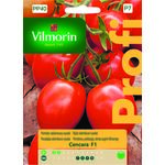 Pomidor szklarniowy wysoki czerwony Cencara F1 0,2 g Vilmorin Garden