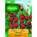 Poziomka Mignonette 0,5 g Vilmorin Garden