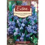 Cebulica syberyjska Scilla Sibirica 12 sztuki Eden