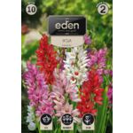 Iksja mix 10 sztuk Eden