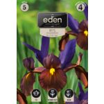 Irys Eye Of The Tiger 5 sztuk Eden