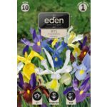 Irys holenderski mix 10 sztuk Eden