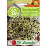 Nasiona na kiełki szczypiorek czosnkowy