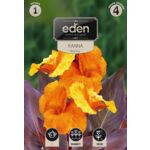 Kanna Wyoming 1 sztuka Eden